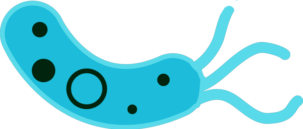 good bacteria left