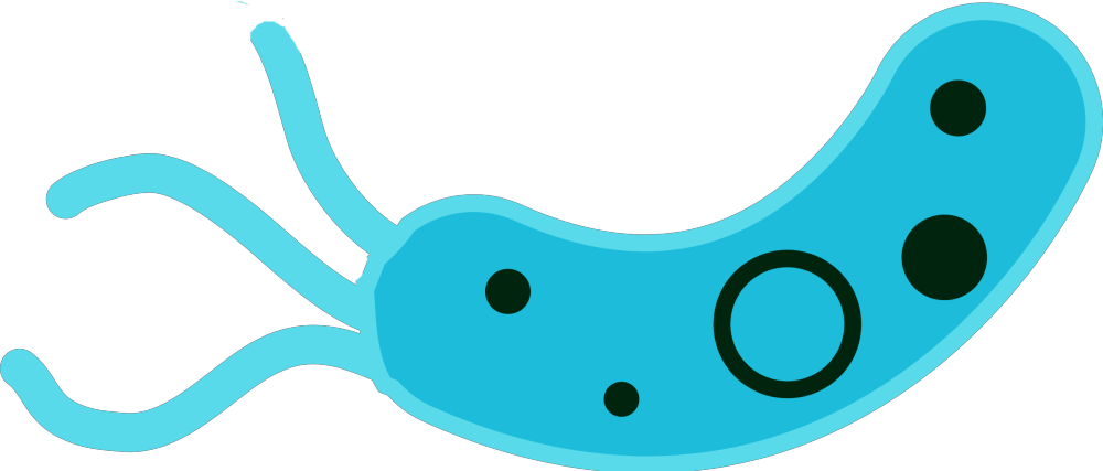 good bacteria right