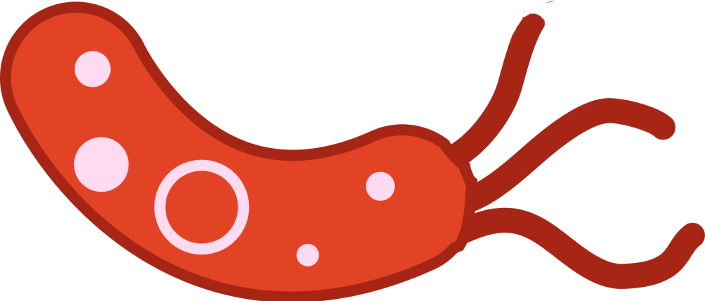 bad bacteria left