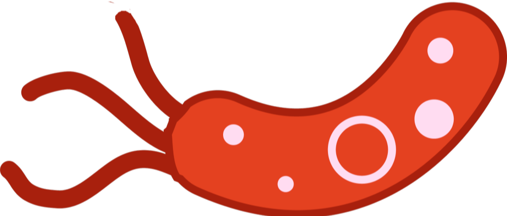 bad bacteria right