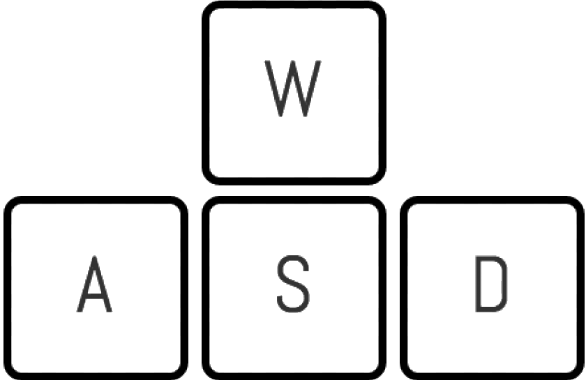 wasd keys